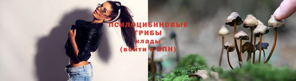 apvp Арсеньев