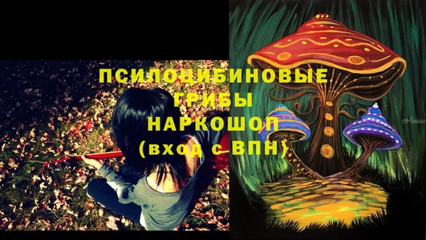 ALPHA PVP Покачи